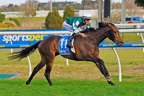 Treasurethe Moment wins the 2025 Memsie Stakes at Caulfield Racecourse<br>
ridden by Damien Lane and trained by Matt Lawrie Treasurethe Moment wins the 2025 Memsie Stakes at Caulfield Racecourse<br>
ridden by Damien Lane and trained by Matt Lawrie