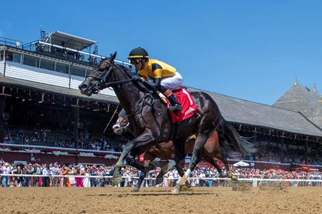 Ewing and Jose Ortiz Win the G2 Saratoga Special Stakes, Saratoga Racecourse, Saratoga Springs, NY, August 2, 2025, Mathea Kelley Ewing and Jose Ortiz Win the G2 Saratoga Special Stakes, Saratoga Racecourse, Saratoga Springs, NY, August 2, 2025, Mathea Kelley