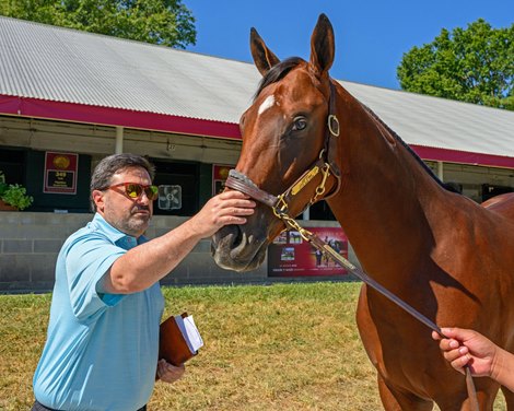 Jon Green with hip 314 colt by Justify out of Earth Strike at Taylor Made Keeneland September Yearling Sale at Keeneland in Lexington, Ky., on Sept. 8, 2025. Jon Green with hip 314 colt by Justify out of Earth Strike at Taylor Made Keeneland September Yearling Sale at Keeneland in Lexington, Ky., on Sept. 8, 2025.