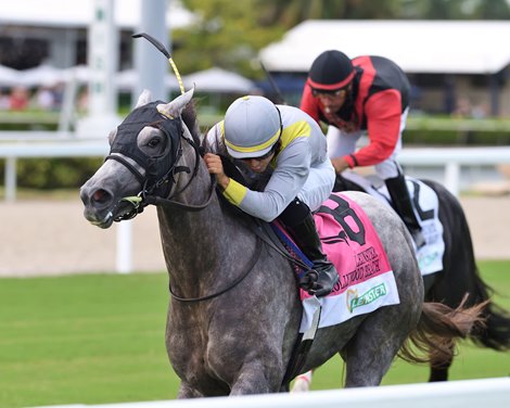 Lennilu wins the 2025 Hollywood Beach Stakes at Gulfstream Park Lennilu wins the 2025 Hollywood Beach Stakes at Gulfstream Park