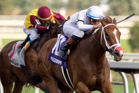 Jockey Flavian Prat guides Caitlinhergrtness to victory 'in the $150,000 Ontario Matron stakes for owner Winstar Farm LLC and trainer Kevin Attard. Woodbine/Michael Burns Photo Jockey Flavian Prat guides Caitlinhergrtness to victory 'in the $150,000 Ontario Matron stakes for owner Winstar Farm LLC and trainer Kevin Attard. Woodbine/Michael Burns Photo
