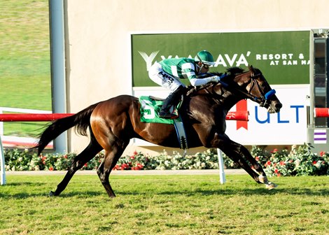 Irish-bred Hey Nay Nay and jockey Hector I. Berrios win the Grade III $100,000 Del Mar Juvenile Turf Sunday  September 7, 2025 at Del Mar Thoroughbred Club, Del Mar, CA.  <br>
Benoit Photo Irish-bred Hey Nay Nay and jockey Hector I. Berrios win the Grade III $100,000 Del Mar Juvenile Turf Sunday  September 7, 2025 at Del Mar Thoroughbred Club, Del Mar, CA.  <br>
Benoit Photo