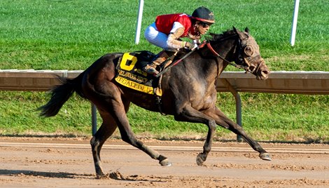 Regaled wins the Delaware Handicap at Delaware Park on 9/28/25 Regaled wins the Delaware Handicap at Delaware Park on 9/28/25