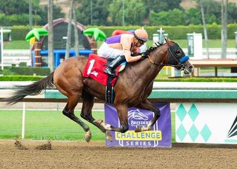 Provenance - MSW - SA - 092725 Provenance - MSW - SA - 092725