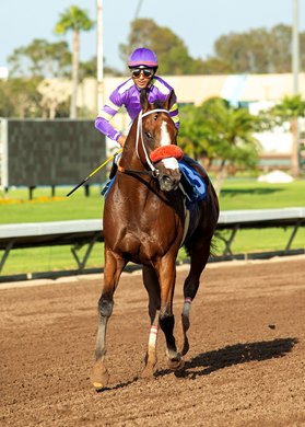 Heavily-favored Man O Rose and jockey Edwin Maldonado score their second-straight E.B. Johnston Stakes Saturday, September 13, 2025 at Los Alamitos Race Course, Cypress, CA. Benoit Photo Heavily-favored Man O Rose and jockey Edwin Maldonado score their second-straight E.B. Johnston Stakes Saturday, September 13, 2025 at Los Alamitos Race Course, Cypress, CA. Benoit Photo