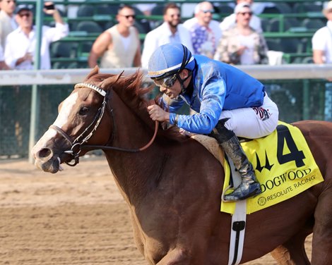 Ragtime wins the 2025 Dogwood Stakes at Churchill Downs Ragtime wins the 2025 Dogwood Stakes at Churchill Downs