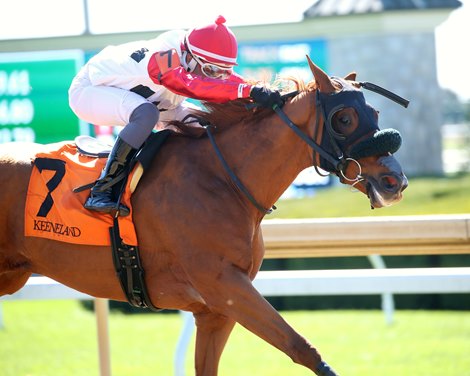 Wrong Shoes, Maiden Win, Keeneland, October 16 2025 Wrong Shoes, Maiden Win, Keeneland, October 16 2025