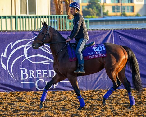 Arizona Blaze<br>
Morning training at Del Mar with Breeders’ Cup contenders at Del Mar Thoroughbred Club in Del Mar, CA,  on Oct. 28, 2025. Arizona Blaze<br>
Morning training at Del Mar with Breeders’ Cup contenders at Del Mar Thoroughbred Club in Del Mar, CA,  on Oct. 28, 2025.