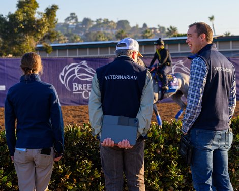 Vets in chute area include Will Farmer, on right. <br>
Morning training at Del Mar with Breeders’ Cup contenders at Del Mar Thoroughbred Club in Del Mar, CA,  on Oct. 28, 2025. Vets in chute area include Will Farmer, on right. <br>
Morning training at Del Mar with Breeders’ Cup contenders at Del Mar Thoroughbred Club in Del Mar, CA,  on Oct. 28, 2025.