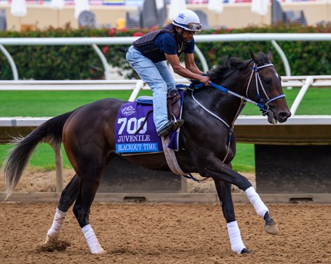 Blackout Time at Del Mar with Breeders’ Cup contenders at Del Mar Thoroughbred Club in Del Mar, CA, on Oct. 26, 2025. Blackout Time at Del Mar with Breeders’ Cup contenders at Del Mar Thoroughbred Club in Del Mar, CA, on Oct. 26, 2025.