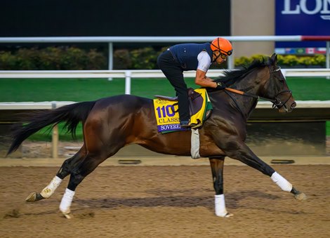 Sovereignty training at Del Mar with Breeders’ Cup contenders at Del Mar Thoroughbred Club in Del Mar, CA,  on Oct. 26, 2025. Sovereignty training at Del Mar with Breeders’ Cup contenders at Del Mar Thoroughbred Club in Del Mar, CA,  on Oct. 26, 2025.