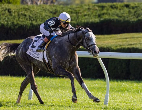 Time to Dazzle, with jockey Jose Ortiz, pull away from the rest of the field in the Gr.II Franklin Stakes at Keeneland on Sunday, October 12th, 2025. This is the Not This Time fillies first Grade 2 score for trainer Mark E. Casse and Owner Tracy Farmer. Time to Dazzle, with jockey Jose Ortiz, pull away from the rest of the field in the Gr.II Franklin Stakes at Keeneland on Sunday, October 12th, 2025. This is the Not This Time fillies first Grade 2 score for trainer Mark E. Casse and Owner Tracy Farmer.