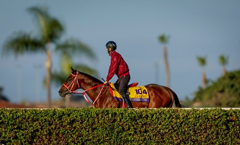 Forever Young prepares for the Breeders’ Cup Classic at Del Mar Racetrack in Del Mar, CA on October 28, 2025. Photo By: Alex Evers Forever Young prepares for the Breeders’ Cup Classic at Del Mar Racetrack in Del Mar, CA on October 28, 2025. Photo By: Alex Evers