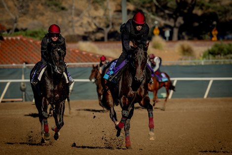 Gstaad (front) and Brussels train for the Breeders’ Cup Juvenile Turf and Turf Sprint respectively at Del Mar Racetrack in Del Mar, CA on October 29, 2025. Photo By: Alex Evers Gstaad (front) and Brussels train for the Breeders’ Cup Juvenile Turf and Turf Sprint respectively at Del Mar Racetrack in Del Mar, CA on October 29, 2025. Photo By: Alex Evers
