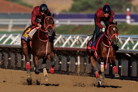 October 29 2025:  Forever Young puts in his final work with stable mate American Stage on the track during morning workouts for trainer Yoshito Yahagi at Del Mar Thoroughbred Club in Del Mar, California Carolyn Simancik/BloodHorse Magazine October 29 2025:  Forever Young puts in his final work with stable mate American Stage on the track during morning workouts for trainer Yoshito Yahagi at Del Mar Thoroughbred Club in Del Mar, California Carolyn Simancik/BloodHorse Magazine