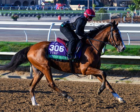 Minnie Hauk<br>
Morning training at Del Mar with Breeders’ Cup contenders at Del Mar Thoroughbred Club in Del Mar, CA, on Oct. 28, 2025. Minnie Hauk<br>
Morning training at Del Mar with Breeders’ Cup contenders at Del Mar Thoroughbred Club in Del Mar, CA, on Oct. 28, 2025.