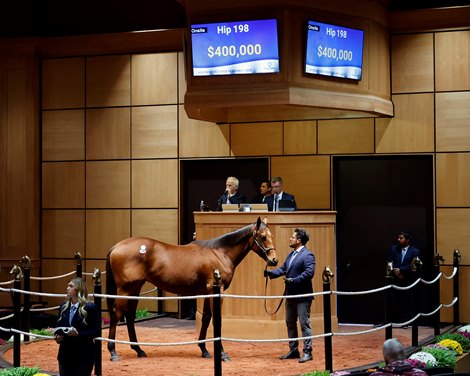 Hip 198, Fasig-Tipton October Sale 2025 Hip 198, Fasig-Tipton October Sale 2025