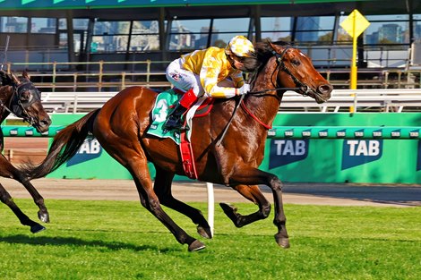Sir Delius wins the 2025 Turnbull Stakes at Flemington Racecourse<br>
ridden by Craig Williams and Trained by Gai Waterhouse and Adrian Bott Sir Delius wins the 2025 Turnbull Stakes at Flemington Racecourse<br>
ridden by Craig Williams and Trained by Gai Waterhouse and Adrian Bott