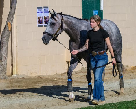 Lennilu<br>
Morning training at Del Mar with Breeders’ Cup contenders at Del Mar Thoroughbred Club in Del Mar, CA,  on Oct. 28, 2025. Lennilu<br>
Morning training at Del Mar with Breeders’ Cup contenders at Del Mar Thoroughbred Club in Del Mar, CA,  on Oct. 28, 2025.