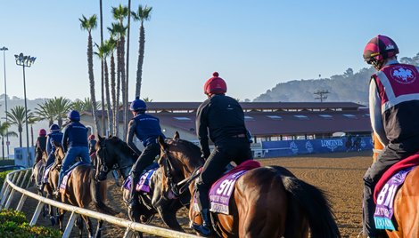 Aidan O'Brien's string of horses working their way around the track on their first morning at Del Mar. <br>
Morning training at Del Mar with Breeders’ Cup contenders at Del Mar Thoroughbred Club in Del Mar, CA,  on Oct. 28, 2025. Aidan O'Brien's string of horses working their way around the track on their first morning at Del Mar. <br>
Morning training at Del Mar with Breeders’ Cup contenders at Del Mar Thoroughbred Club in Del Mar, CA,  on Oct. 28, 2025.
