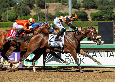 Intrepido and jockey Hector I. Berrios, outside, outleg Deseert Gate (Juan Hernandez), middle, and Plutarch (Kazushi Kimura), inside, to win the Grade I, $300,000 American Pharoah Stakes, Saturday, October 4, 2025 at Santa Anita Park, Arcadia CA.<br>
© BENOIT PHOTO Intrepido and jockey Hector I. Berrios, outside, outleg Deseert Gate (Juan Hernandez), middle, and Plutarch (Kazushi Kimura), inside, to win the Grade I, $300,000 American Pharoah Stakes, Saturday, October 4, 2025 at Santa Anita Park, Arcadia CA.<br>
© BENOIT PHOTO