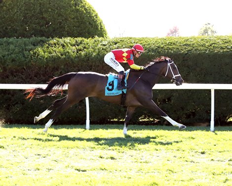 Bracelet, ALW, Keeneland, October 24 2025 Bracelet, ALW, Keeneland, October 24 2025