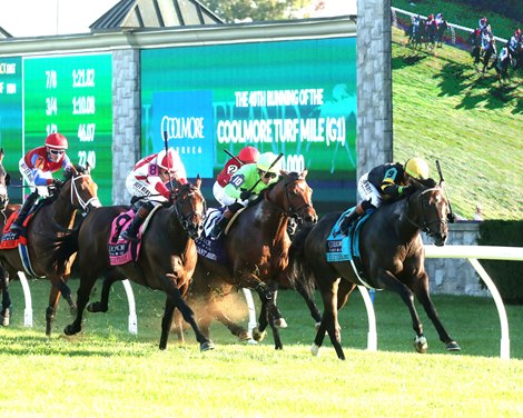 Rhetorical wins the 2025 Turf Mile Stakes at Keeneland Rhetorical wins the 2025 Turf Mile Stakes at Keeneland
