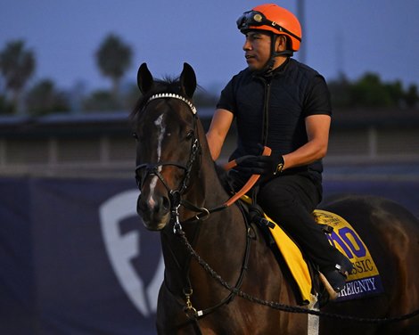 Sovereignty<br>
Morning training at Del Mar with Breeders’ Cup contenders at Del Mar Thoroughbred Club in Del Mar, CA,  on Oct. 25, 2025. Sovereignty<br>
Morning training at Del Mar with Breeders’ Cup contenders at Del Mar Thoroughbred Club in Del Mar, CA,  on Oct. 25, 2025.