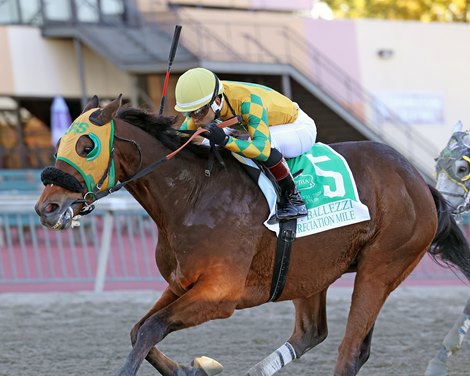 Point Dume wins the 2025 M.P. Ballezzi Appreciation Mile Stakes at Parx Racing Point Dume wins the 2025 M.P. Ballezzi Appreciation Mile Stakes at Parx Racing