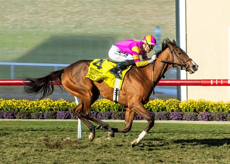 Whisper Hill Farm’s Just Aloof and jockey Hector I. Berrios win the Grade III $100,000 Jimmy Durante Stakes Saturday, November 29, 2025 at Del Mar Thoroughbred Club, Del Mar, CA. The two-year-old daughter of Justify is trained by Chad Brown.<br>
Benoit Photo Whisper Hill Farm’s Just Aloof and jockey Hector I. Berrios win the Grade III $100,000 Jimmy Durante Stakes Saturday, November 29, 2025 at Del Mar Thoroughbred Club, Del Mar, CA. The two-year-old daughter of Justify is trained by Chad Brown.<br>
Benoit Photo