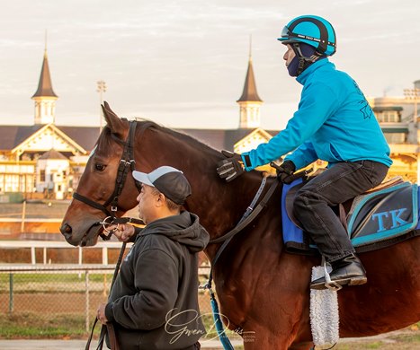 Point Dume trains with Jorge Tipa in the saddle at Churchill Downs for the Claiming Crown Jewel Point Dume trains with Jorge Tipa in the saddle at Churchill Downs for the Claiming Crown Jewel