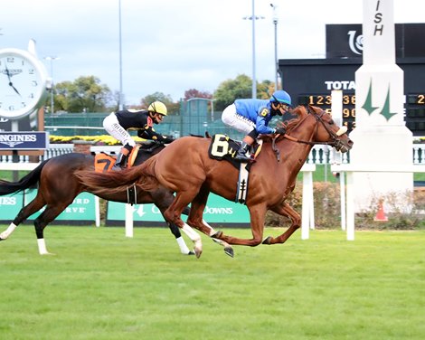 POSTER - AOC - CD - 110925 POSTER - AOC - CD - 110925