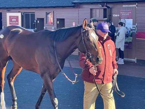 Porta Fortuna, part Taylor Made’s consignment, at the Tattersall’s December Mares Sale Porta Fortuna, part Taylor Made’s consignment, at the Tattersall’s December Mares Sale