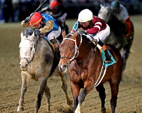 Magnitude wins the 2025 Clark Stakes at Churchill Downs Magnitude wins the 2025 Clark Stakes at Churchill Downs