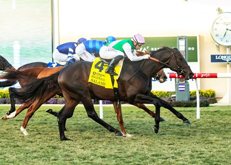 Juddmonte's Salamis and jockey Umberto Rispoli, outside, win the Grade I $300,000 Hollywood Derby Saturday, November 29, 2025 at Del Mar Thoroughbred Club, Del Mar, CA. The three-year-old son of Speightstown is trained by Chad Brown.<br>
Benoit Photo Juddmonte's Salamis and jockey Umberto Rispoli, outside, win the Grade I $300,000 Hollywood Derby Saturday, November 29, 2025 at Del Mar Thoroughbred Club, Del Mar, CA. The three-year-old son of Speightstown is trained by Chad Brown.<br>
Benoit Photo