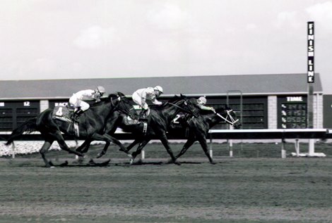 Wandarous wins the 1990 Kansas City Handicap at The Woodlands Wandarous wins the 1990 Kansas City Handicap at The Woodlands