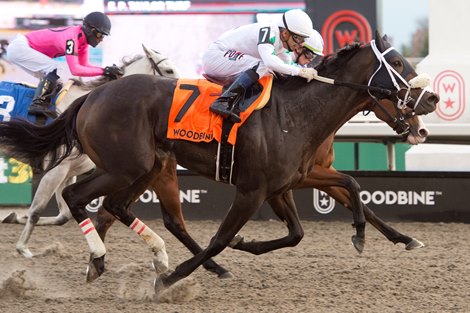 Sultana wins the 2025 Maple Leaf Stakes at Woodbine Sultana wins the 2025 Maple Leaf Stakes at Woodbine