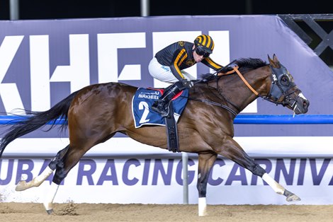 Drew's Gold wins the 2025 Dubai Islands Handicap at Meydan Racecourse Drew's Gold wins the 2025 Dubai Islands Handicap at Meydan Racecourse