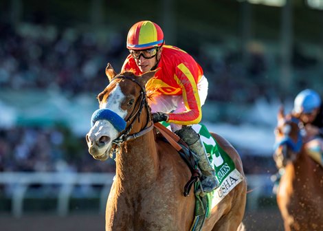 Usha wins the La Brea Stakes at Santa Anita Park Usha wins the La Brea Stakes at Santa Anita Park