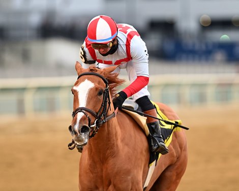 Fully Subscribed wins the Comely Stakes at Aqueduct, December 7, 2025 Fully Subscribed wins the Comely Stakes at Aqueduct, December 7, 2025