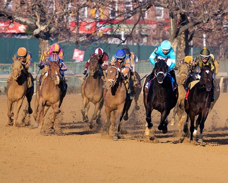 Paladin wins the 2025 Remsen Stakes at Aqueduct Racetrack Paladin wins the 2025 Remsen Stakes at Aqueduct Racetrack