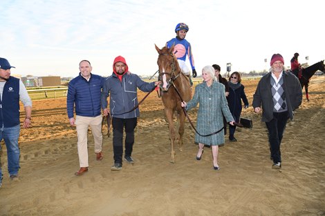 Paladin wins the 2025 Remsen Stakes at Aqueduct Racetrack Paladin wins the 2025 Remsen Stakes at Aqueduct Racetrack