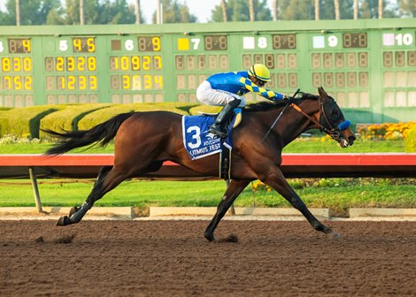 Heavily-favored Litmus Test and jockey Juan Hernandez win the Grade II $200,000 Los Alamitos Futurity Saturday, December 13, 2025 at Los Alamitos Race Course, Cypress, CA, giving trainer Bob Baffert his ninth win in the race. Baffert’s two other starters in the race, Blacksmith and Provenance, finished second and third, respectively, giving the barn a trifecta. <br>
Benoit Photo Heavily-favored Litmus Test and jockey Juan Hernandez win the Grade II $200,000 Los Alamitos Futurity Saturday, December 13, 2025 at Los Alamitos Race Course, Cypress, CA, giving trainer Bob Baffert his ninth win in the race. Baffert’s two other starters in the race, Blacksmith and Provenance, finished second and third, respectively, giving the barn a trifecta. <br>
Benoit Photo