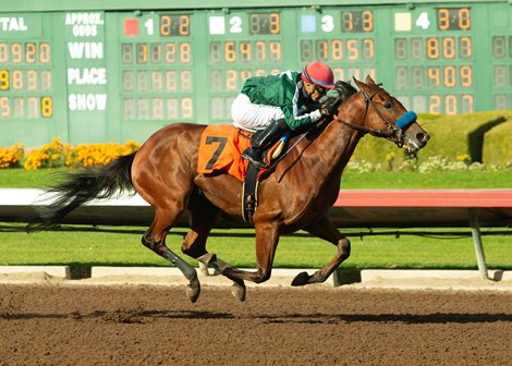 Toaster, Maiden Win, Los Alamitos Race Course, December 12 2025 Toaster, Maiden Win, Los Alamitos Race Course, December 12 2025