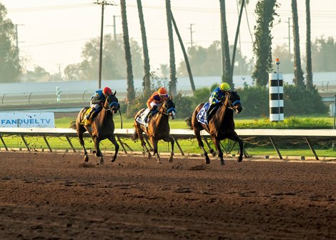 Heavily-favored Litmus Test and jockey Juan Hernandez win the Grade II $200,000 Los Alamitos Futurity Saturday, December 13, 2025 at Los Alamitos Race Course, Cypress, CA, giving trainer Bob Baffert his ninth win in the race. Baffert’s two other starters in the race, Blacksmith and Provenance, finished second and third, respectively, giving the barn a trifecta. <br>
Benoit Photo Heavily-favored Litmus Test and jockey Juan Hernandez win the Grade II $200,000 Los Alamitos Futurity Saturday, December 13, 2025 at Los Alamitos Race Course, Cypress, CA, giving trainer Bob Baffert his ninth win in the race. Baffert’s two other starters in the race, Blacksmith and Provenance, finished second and third, respectively, giving the barn a trifecta. <br>
Benoit Photo