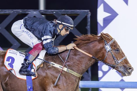 El Nasseeb wins the 2025 Al Garhoud Sprint at Meydan Racecourse El Nasseeb wins the 2025 Al Garhoud Sprint at Meydan Racecourse