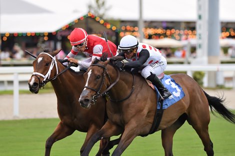 Destino d'Oro wins the 2025 Tropical Park Oaks at Gulfstream Park Destino d'Oro wins the 2025 Tropical Park Oaks at Gulfstream Park