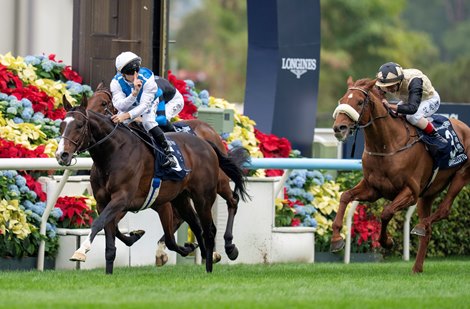 Sosie (Maxime Guyon) beats Giavellotto to win the Hong Kong Vase Sha Tin 14.12.25 Pic: Edward Whitaker Sosie (Maxime Guyon) beats Giavellotto to win the Hong Kong Vase Sha Tin 14.12.25 Pic: Edward Whitaker