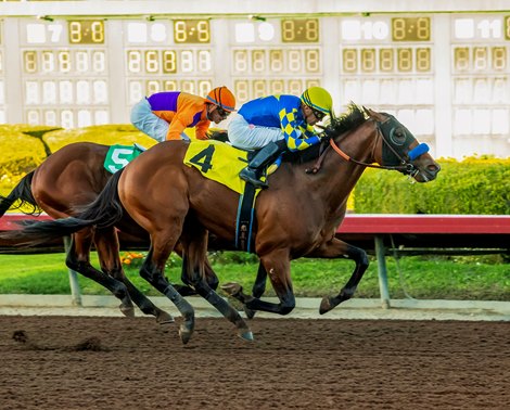 Greenwich Village - MSW - Los Alamitos - 120625 Greenwich Village - MSW - Los Alamitos - 120625