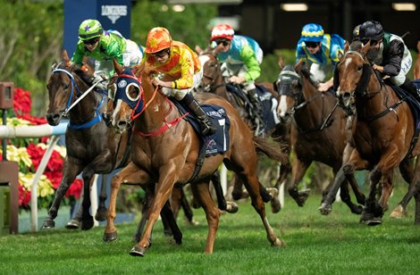 Ryan Moore wins leg 4 on Triumphant More and wins the Longines International Jockeys Championship<br>
Hong Kong 10.12.25 Pic: Edward Whitaker Ryan Moore wins leg 4 on Triumphant More and wins the Longines International Jockeys Championship<br>
Hong Kong 10.12.25 Pic: Edward Whitaker
